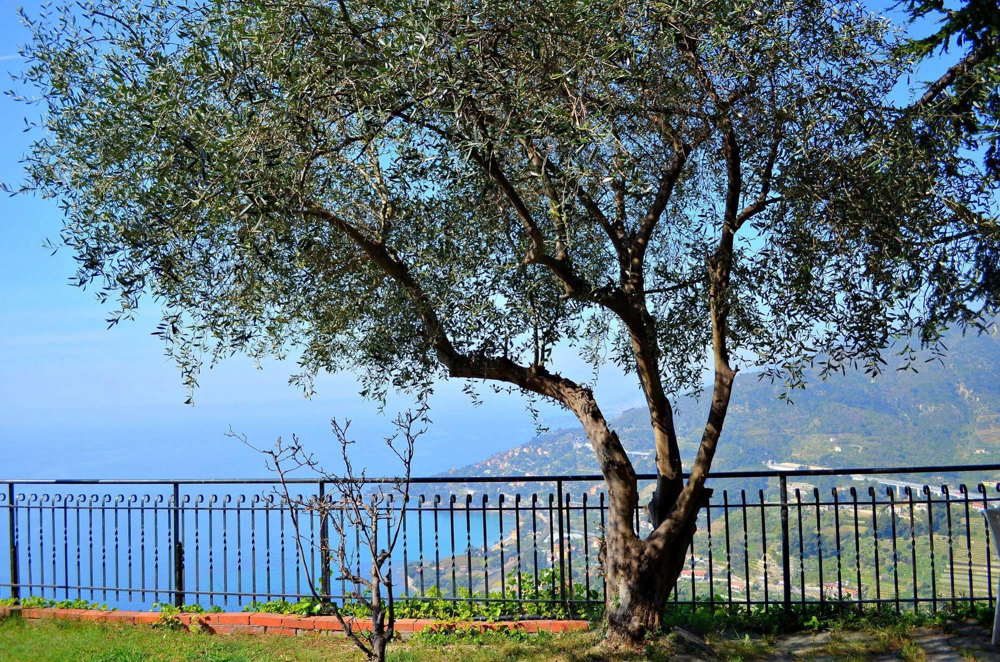 La Riserva Di Castel D'Appio- Charme & Relax Ventimiglia Exterior photo